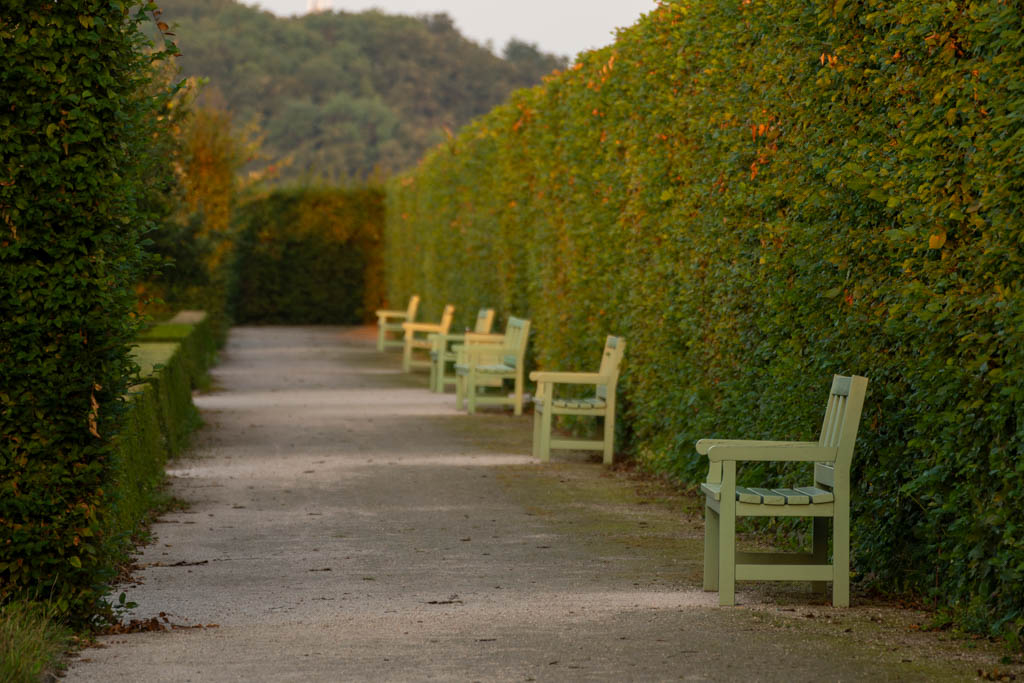 Na zahradě / In the garden